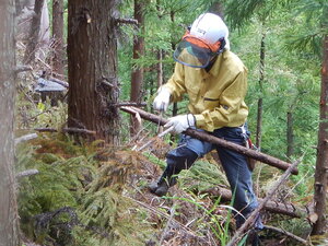 DSCN6859.JPG