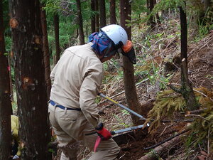 DSCN6890.JPG