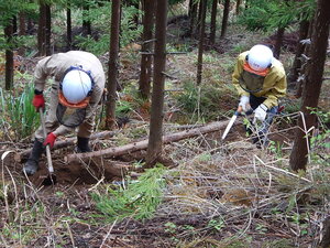 DSCN6900.JPG