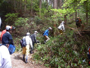 DSCN7019.JPG