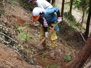 DSCN7038.JPG
