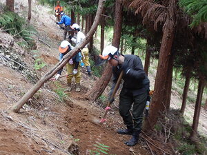 DSCN7039.JPG