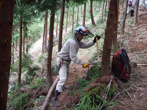 DSCN7045.JPG