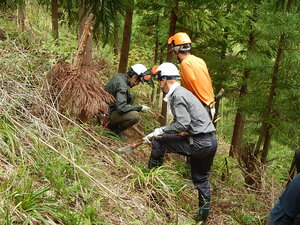 DSCN7056.JPG
