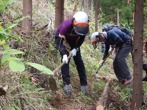DSCN7068.JPG