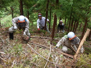 DSCN7075.JPG