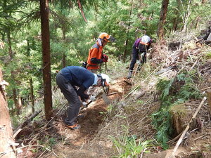 DSCN7087.JPG