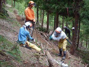 DSCN7108.JPG