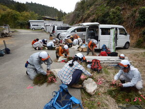 DSCN1003.JPG