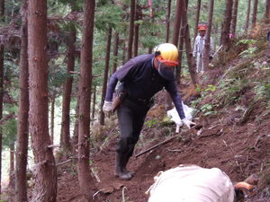 100_0043.JPG