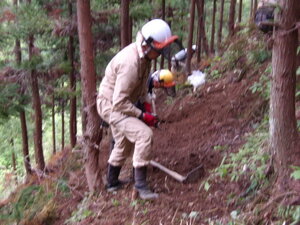 100_0035.JPG