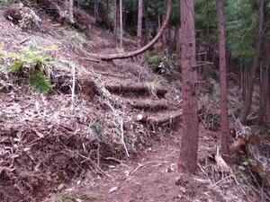 100_0044.JPG