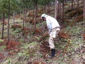 100_0045.JPG