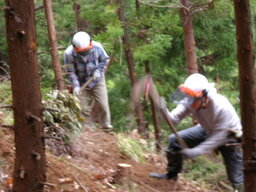100_0051.JPG