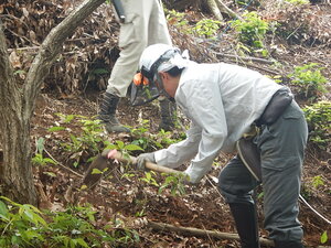 DSCN7962.JPG