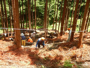DSCN8180.JPG