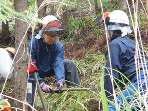 DSCN1719.JPG