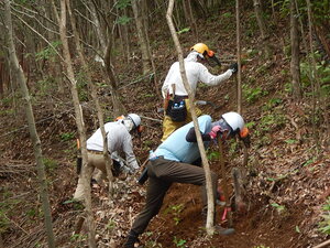 DSCN8033.JPG