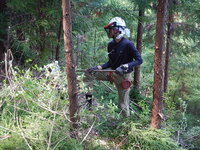 DSCN6773.JPG