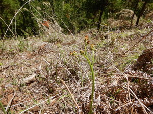 DSCN0909.JPG