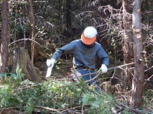 DSCN0930.JPG