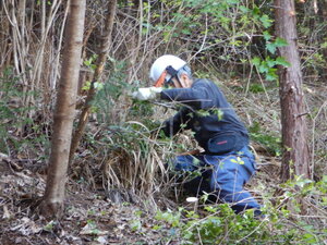 DSCN0932.JPG
