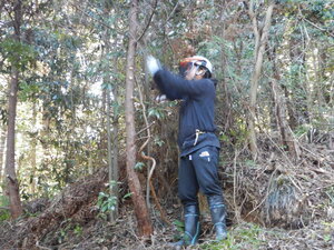 DSCN0939.JPG