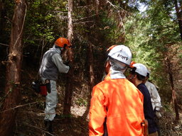 DSCN1074.JPG