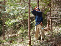 DSCN1086.JPG