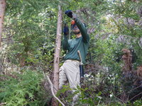 DSCN1103.JPG