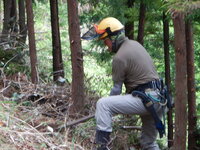 DSCN1362.JPG