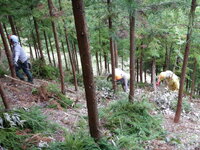DSCN1408.JPG