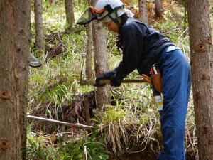 DSCN1723.JPG