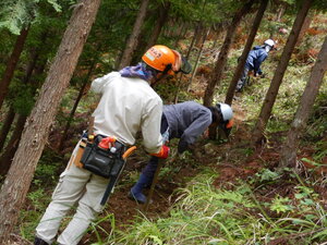 DSCN1740.JPG