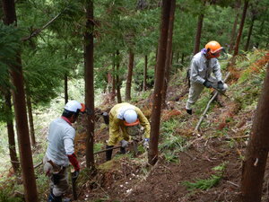 DSCN1789.JPG