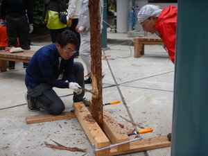 DSCN2218.JPG