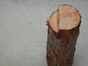 DSCN2268.JPG