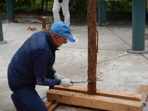 DSCN2299.JPG