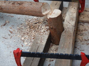 DSCN2301.JPG