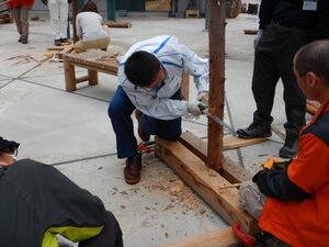 DSCN2339.JPG