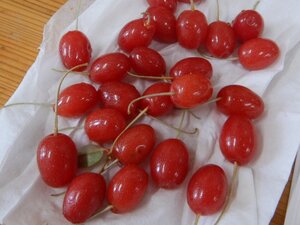 DSCN2417.JPG
