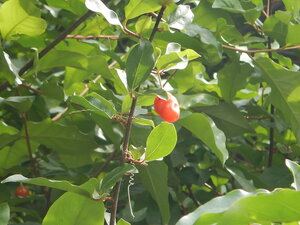 DSCN2419.JPG