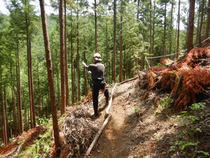 DSCN2462.JPG