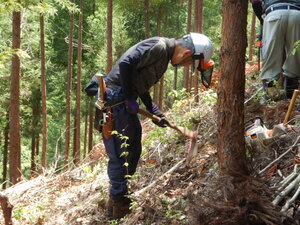 DSCN2469.JPG
