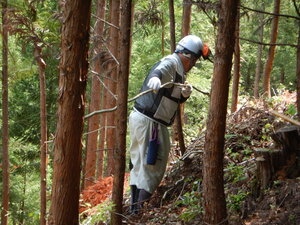 DSCN2472.JPG