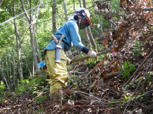 DSCN2528.JPG