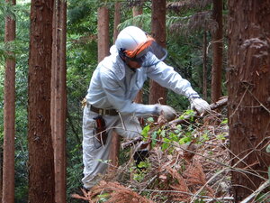DSCN2580.JPG