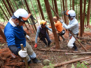 DSCN2626.JPG