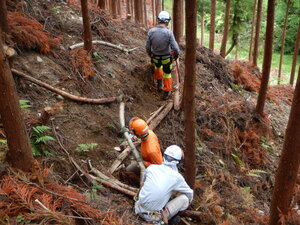 DSCN2634.JPG