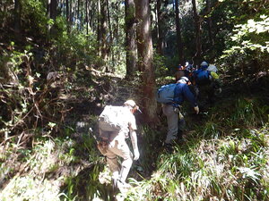 DSCN6480.JPG